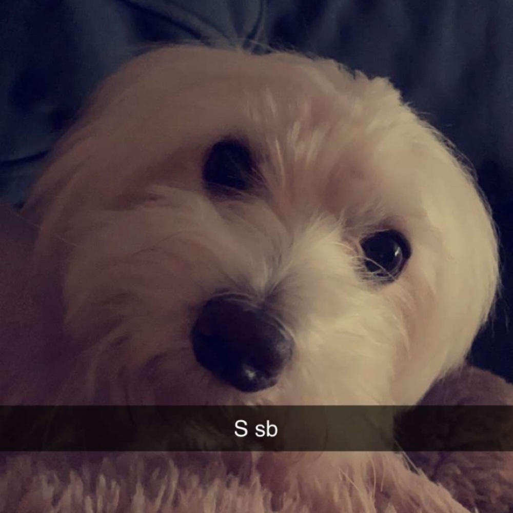 Meet your Posher, Gianna